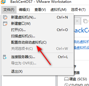 图片[4]-vmware虚拟机-秋风落叶