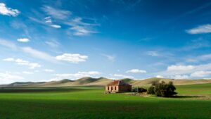 如何将chrome谷歌插件下载到本地-秋风落叶