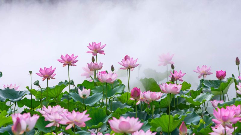 python基础篇-秋风落叶