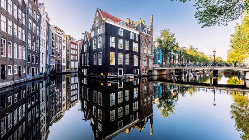 通讯录-秋风落叶