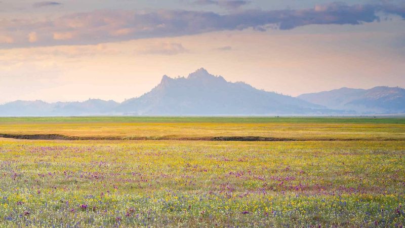 mac安装docker-秋风落叶